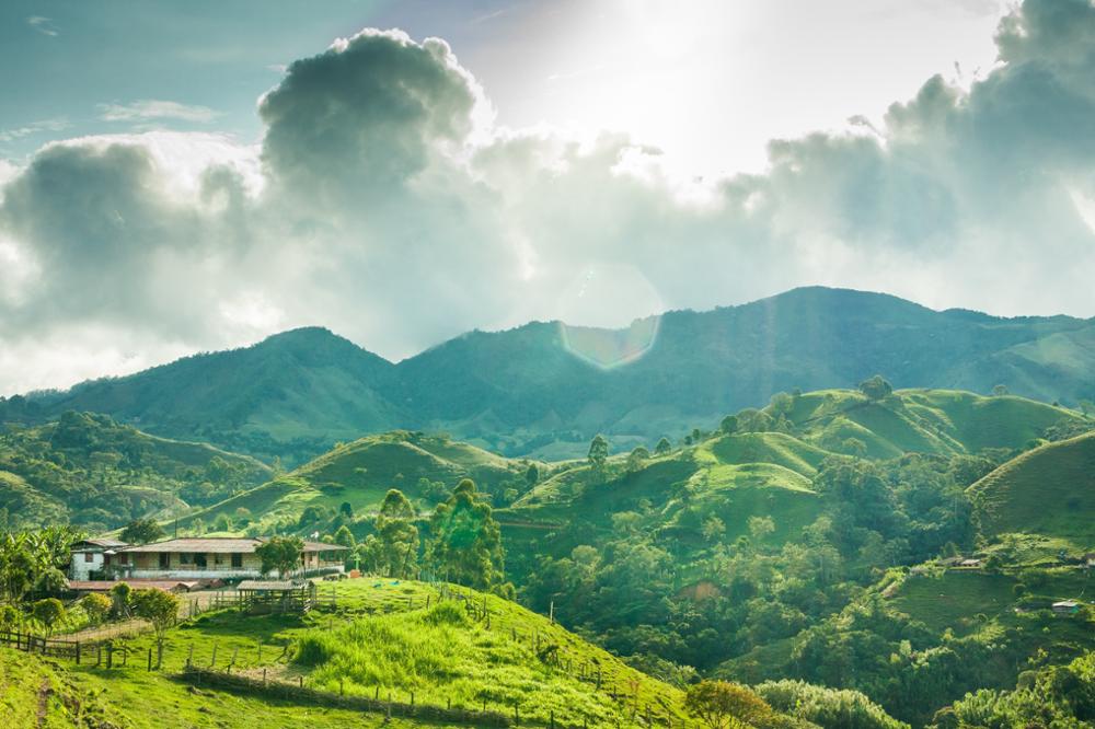 Visiter une plantation de café en Colombie