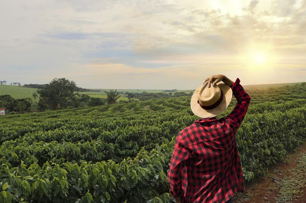 Visiter une plantation de café en Colombie